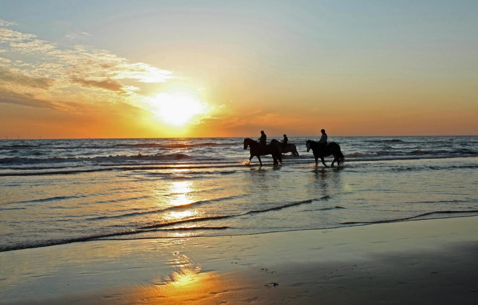 Mer Et Soleil A Blonville Sur Mer/ Deauville Exteriér fotografie